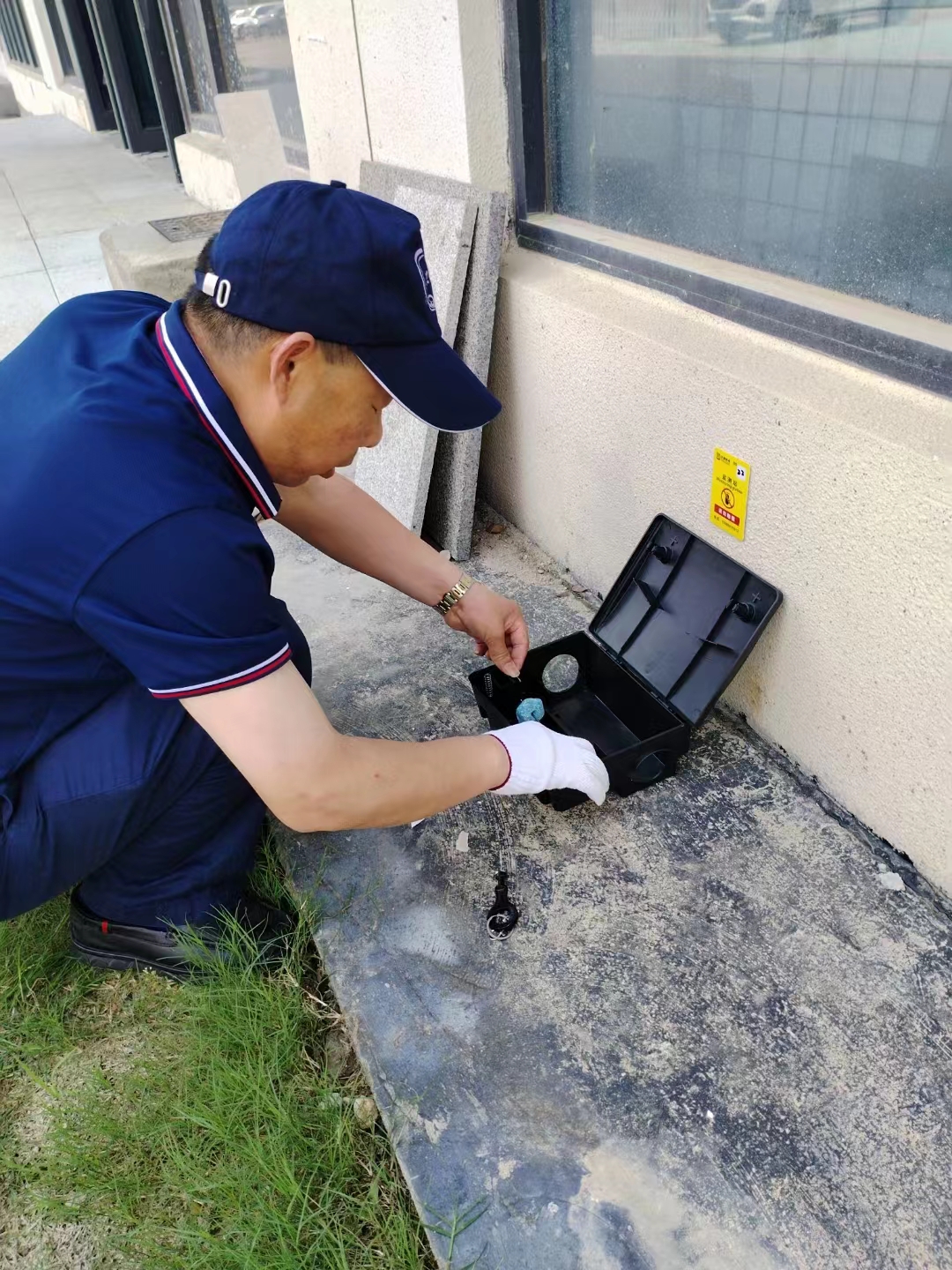 工厂虫害防治：不容忽视的必要之举